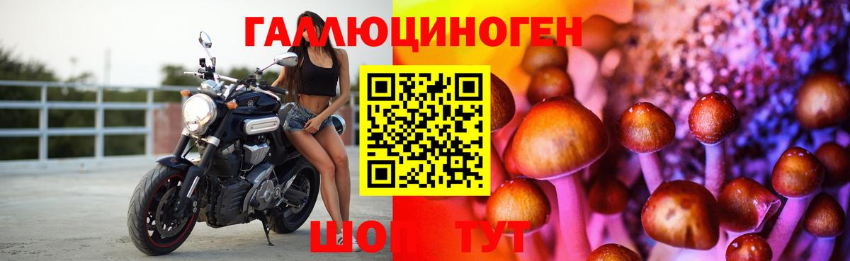 Псилоцибиновые грибы мицелий Джанкой